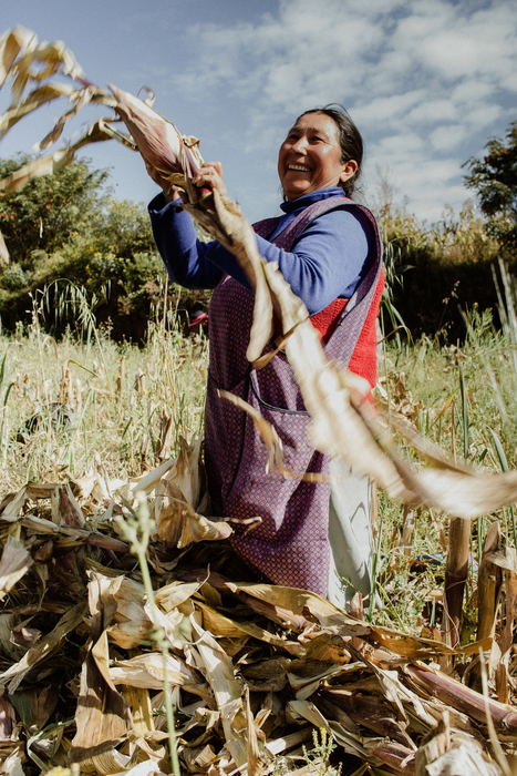 Andean woman farming