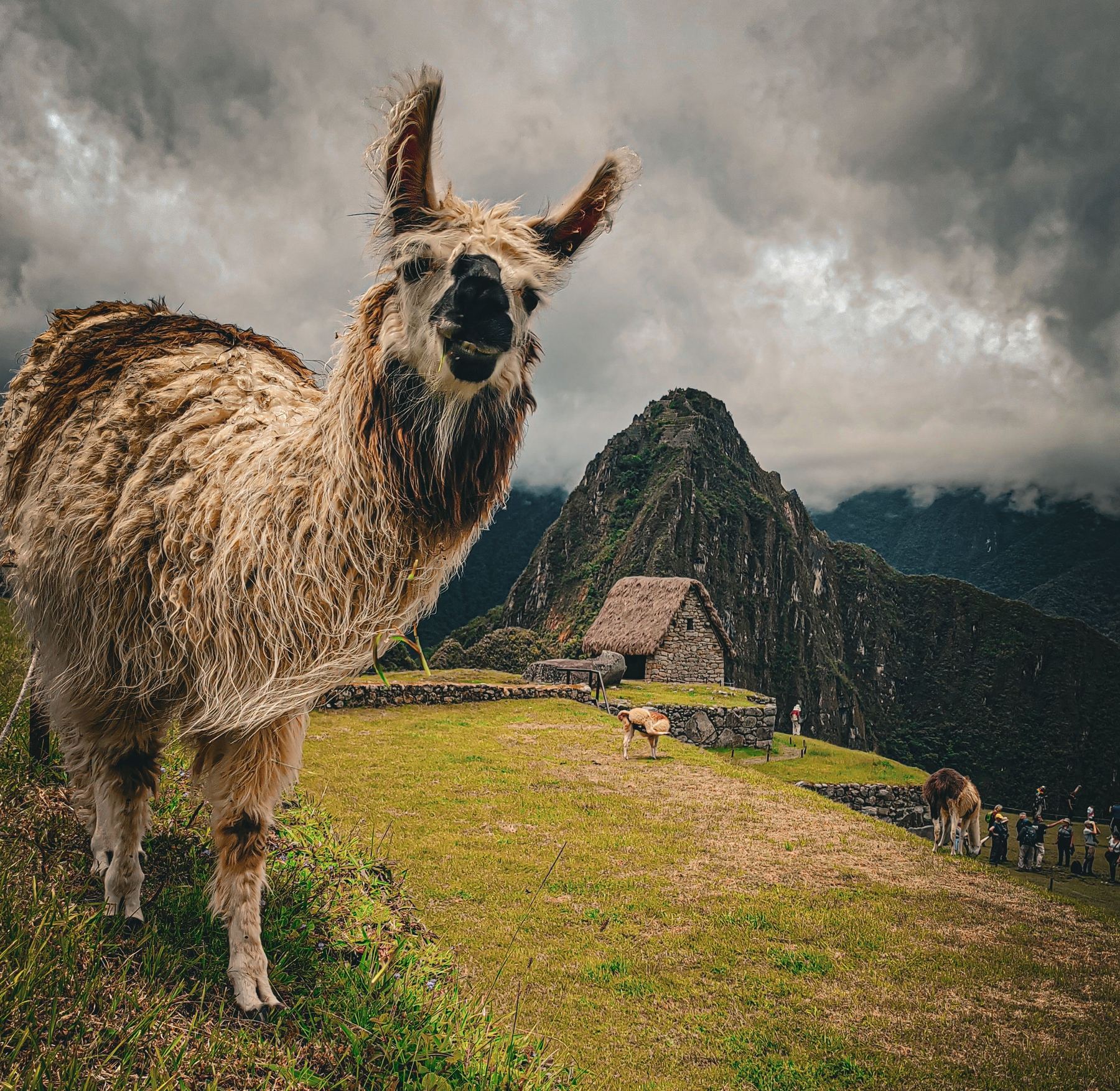 Machu Picchu, Peru